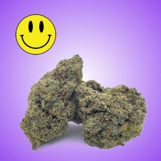 A close-up image of Jet Fuel Gelato cannabis buds against a purple background, featuring a smiley face emoji in the corner.