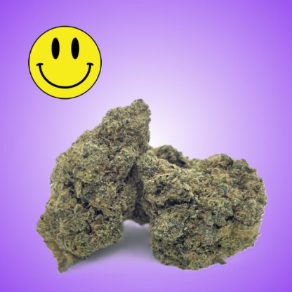 A close-up image of Jet Fuel Gelato cannabis buds against a purple background, featuring a smiley face emoji in the corner.
