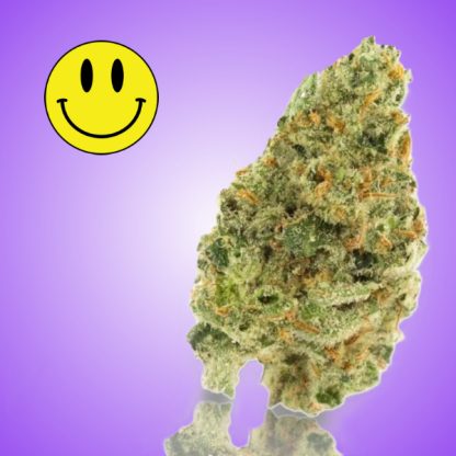 A close-up image of a Lemon Haze cannabis bud, showcasing its vibrant green and orange hues against a purple background with a smiling emoji.